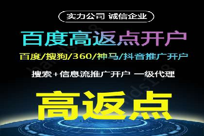 SEM竞价代运营实战技巧与案例