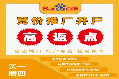 竞价代运营助力品牌崛起案例